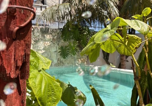 5d27263a-8155-46fc-b7e3-2ef3358be8e8